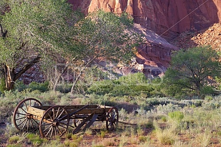 Wooden Wagon