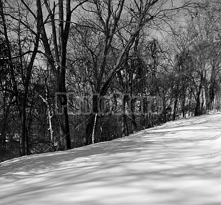 Winter In Illinois