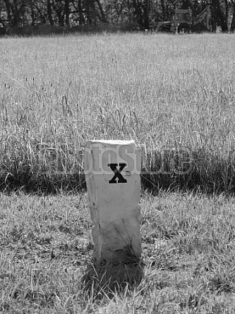 X marks the grave