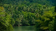 Loboc Philippines