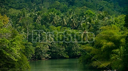 Loboc Philippines