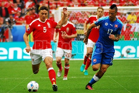 UEFA EURO 2016 Wales – Slovakia