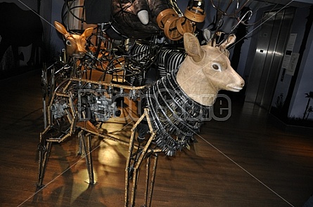 Creative Animal Sculpture