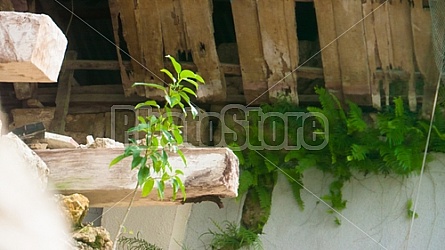 San Pedro Apostol Parish Church Loboc Philippines San Pedro Apostol Parish Church Loboc Philippines