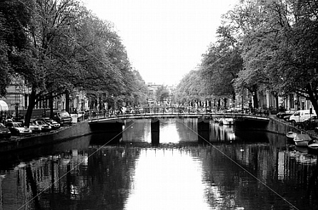 the canals in Amsterdam