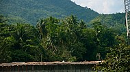 Loboc Philippines