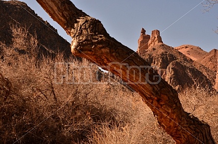 Charyn Canyon Kazakhstan