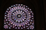Notre Dame Stained Glass #3