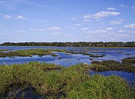 Florida Everglades