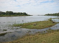 river at Majete National Park (Malawi)