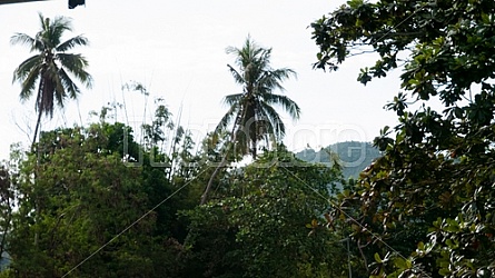 Loboc Philippines