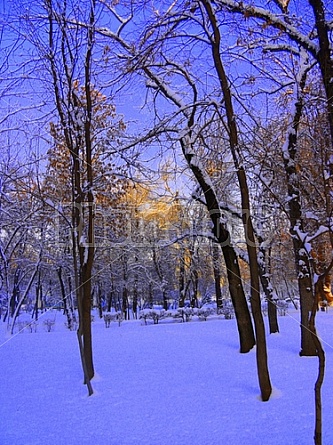 Winter in Kazakhstan