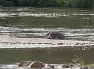 Relaxing day at Majete National Park