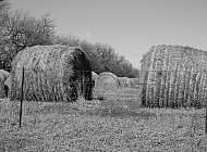 Hay Rolls #3