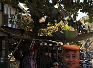 Buddhist Nun