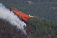 Forest Fire Fighting