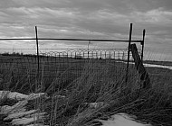 Kansas Fence