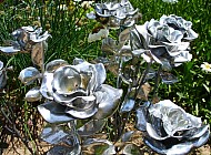 steel roses
