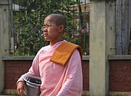 Buddhist Nun