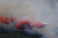 Forest Fire Fighting