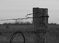 Barbed Wire and Fence