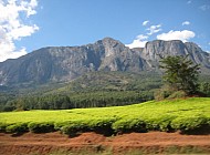 Mulanje Mountain (Malawi)