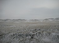 Kazakh steppe