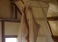 Mosquito Net