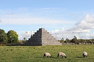 Sheep of Ireland