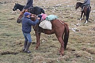 Kyrgyz horse guide