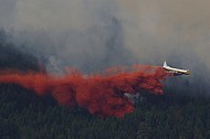 Forest Fire Fighting