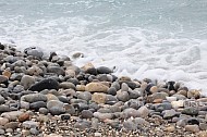 Rocky Beach