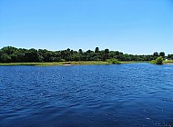 Florida Everglades