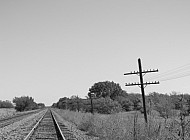 On The Tracks