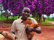 Kenyan man and his chickens