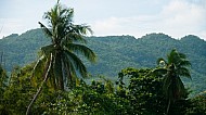 The Island of Bohol in the Philippines