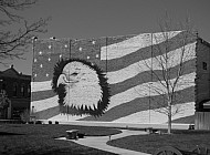 Eagle Graffiti