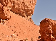 Charyn Canyon Kazakhstan