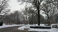 Winter in the park