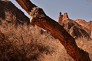 Charyn Canyon Kazakhstan