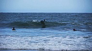 Surfers in the waves at Venice Beach