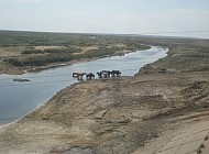 horses at a standpost