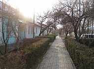 Flats in Turkestan, Shymkent (Kazakhstan)