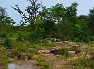 Kenyan creek