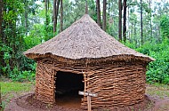 Pokot Traditional Hut