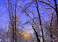 Winter in Kazakhstan