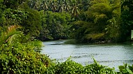 Loboc Philippines