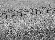 Vintage Fence