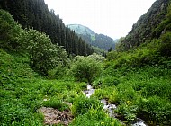 nature in Kazakhstan