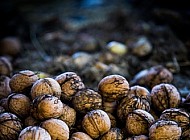 Walnuts